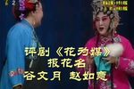 花为媒下载