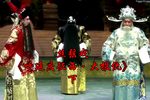 呼延庆征西大报仇 下集下载