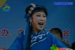 半把剪刀 寻子 选段下载