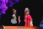 花为媒 选段