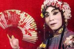 黄爱玉上坟下载