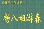 杨八姐游春 全集下载