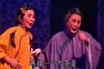 村南柳 选段
