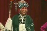 对花枪下载