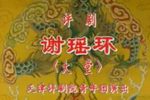 谢瑶环下载