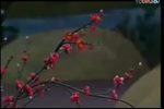 出了城池过了关下载