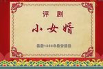 小女婿 全集下载