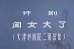 闺女大了 全集下载