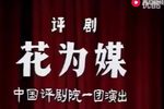 花为媒 全集下载