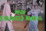 花为媒 选段
