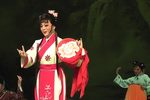 梨花情 全集