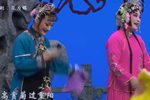 花为媒 选段