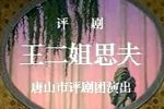 王二姐思夫回杯记 全集下载