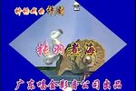 张羽煮海 全集