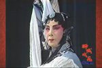 牧羊卷下载