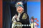 对花枪 选段
