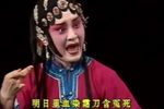 双错遗恨下载