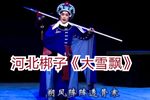 野猪林 大雪飘下载