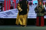 花打朝 选段