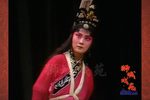 窦娥冤下载