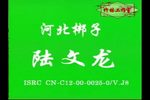 陆文龙 全集