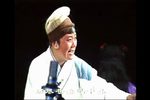 花甲颂下载
