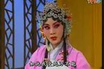 双错遗恨 选段下载