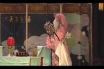 双错遗恨 选段 中集