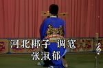 调寇 选段下载