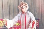 杨八姐游春 全集下载