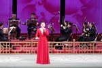 名家名段演唱会 选段下载