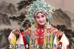 秦英征西 上集下载