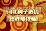 穆桂英挂帅 选段