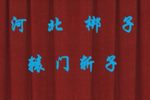 辕门斩子下载
