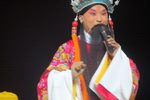 辕门斩子 选段下载