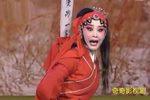 斩窦娥 全集