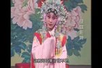 打金枝 全集下载