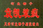 袁凯装疯下载