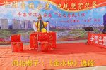 金水桥 选段