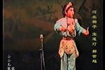 宝莲灯下载