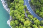 秦香莲下载