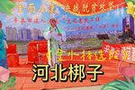 金水桥 选段