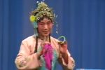拾玉镯下载