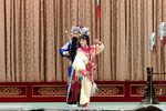 对花枪 全集下载