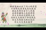 十二寡妇征西下载