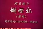 蝴蝶杯 全集下载