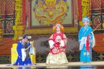 调寇下载