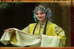 打金枝下载