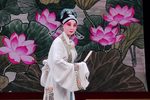 弄巧成拙 选段下载