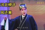 凤还巢 全集